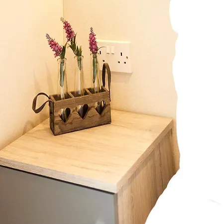 Holiday home Pine With Hot Tub *